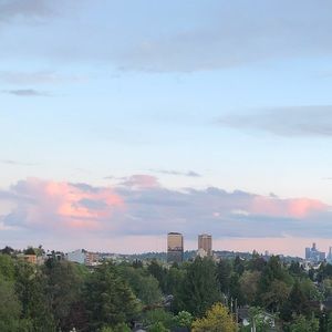 Meet your Posher, Ting